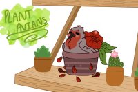 Plant Avians- Rose