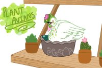 Plant Avians- Waterlily