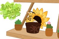 Plant Avians- Sunflower