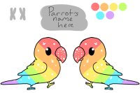 Rainbow parrot <3