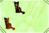 Kitties for ABeardedDragon :3
