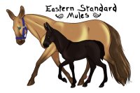 Eastern Standard Mules V.3