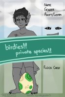 birdies // a private species // open for posting