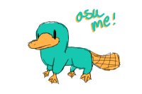 ask me! [a platypus]