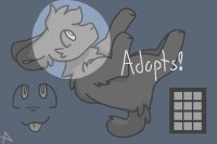 Fennow Adopts(OPENING SOON)!
