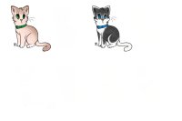 some nice kitten adopts *not for sale*