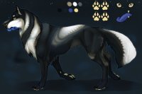 Tsu- Arabian Wolf