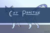 cat practice