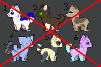 Dog Adoptables! (ALL GONE)