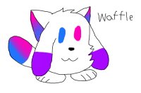 the best kittydog drawing ever