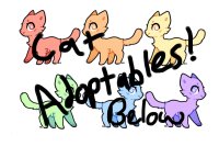 Cat Adoptables