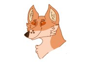 a fox that i gave up on