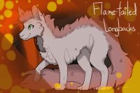 Flame-Tailed Longbacks - For Sale!