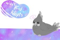 Heidy's Bird Adopts
