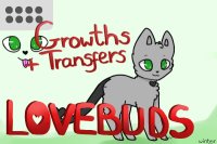 Lovebuds - Growths and transfers!