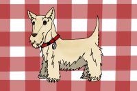 Scottish9's Starter terrier
