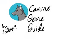 Canine Gene Guide