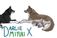 Darcie X Miyuki Pups 1