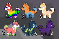 puppers for sale! one left!