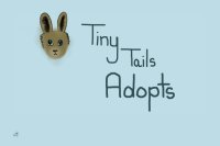 Tiny Tails Adopts