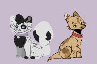 dog and cat adopts