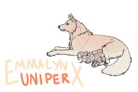 Emmalyn X Uniper pups stage 1