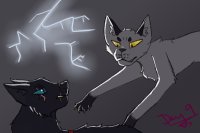Warrior Cat Drawing Challenge- Day 9