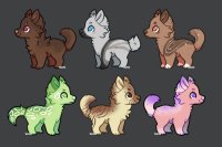 Dog Adopts - Offer to Adopt - 1 left!