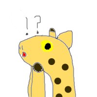 Spotty the giraffe