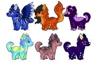 PWYW adopts for c$