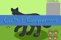 >Cats & Companions< wip dnp