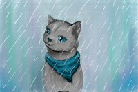 Rainy Kitty