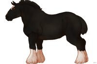 #012 | Dyselde | #012 | Dyselde |