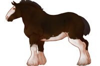 #013 | Dyselde | #013 | Dyselde |