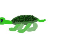 It’s a turtlee