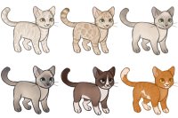 Cat characters