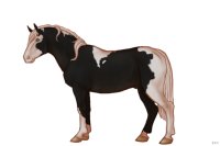 #014 | Aquell | #014 | Aquell |