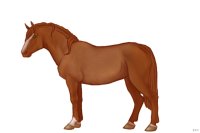 #015| Aquell | #015| Aquell |