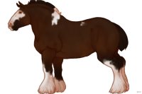 #016 | Dyselde | #016 | Dyselde |