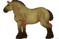 #017 | Dyselde | #017 | Dyselde |