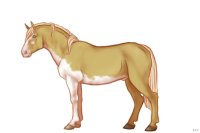 #018 | Aquell | #018 | Aquell |