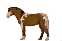 #020 | Aquell | #020 | Aquell |