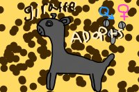 Giraffe adopts!