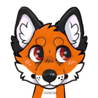 My Fox