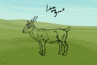Line m'goat - Art competition