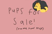 Pups for sale, name your price <3
