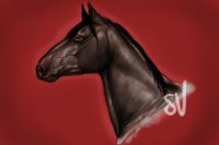 Recoloured horse [original by Svavellitium]