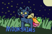 Moonshines adopts!