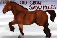 Old Crow Snow Mules