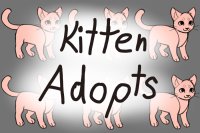 Kitten Adopts